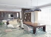 Water Damage Services of Plano image 5